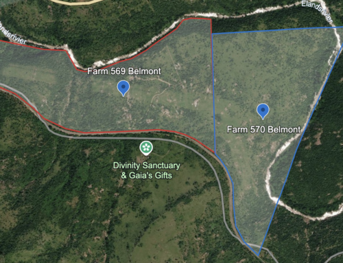TWO FARM PORTIONS ON AUCTION – NELSPRUIT